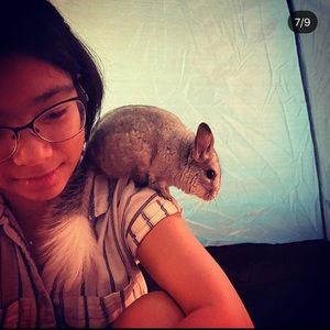 Meet your Posher, Sofia